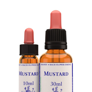 Mustard 10ml