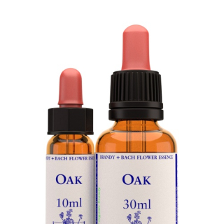 Oak 10ml