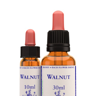 Walnut 10ml